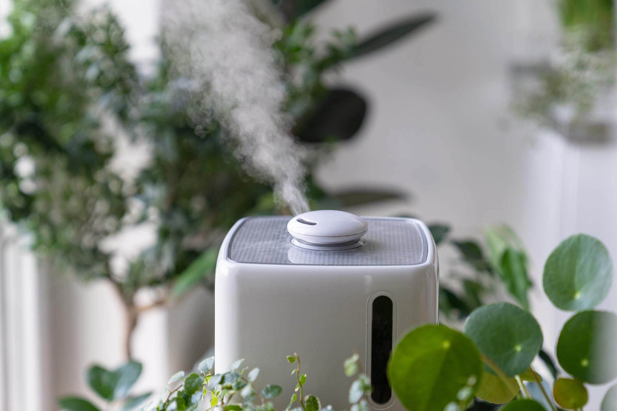 Humidifier services in Paso Robles